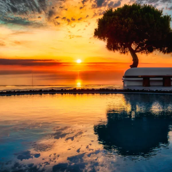 DSC_5330-11121112s1 (Custom)