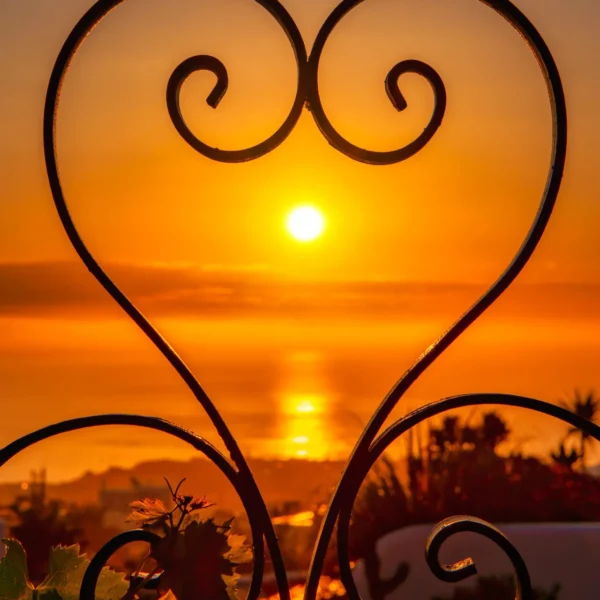 DSC_5351-1121s (Custom)