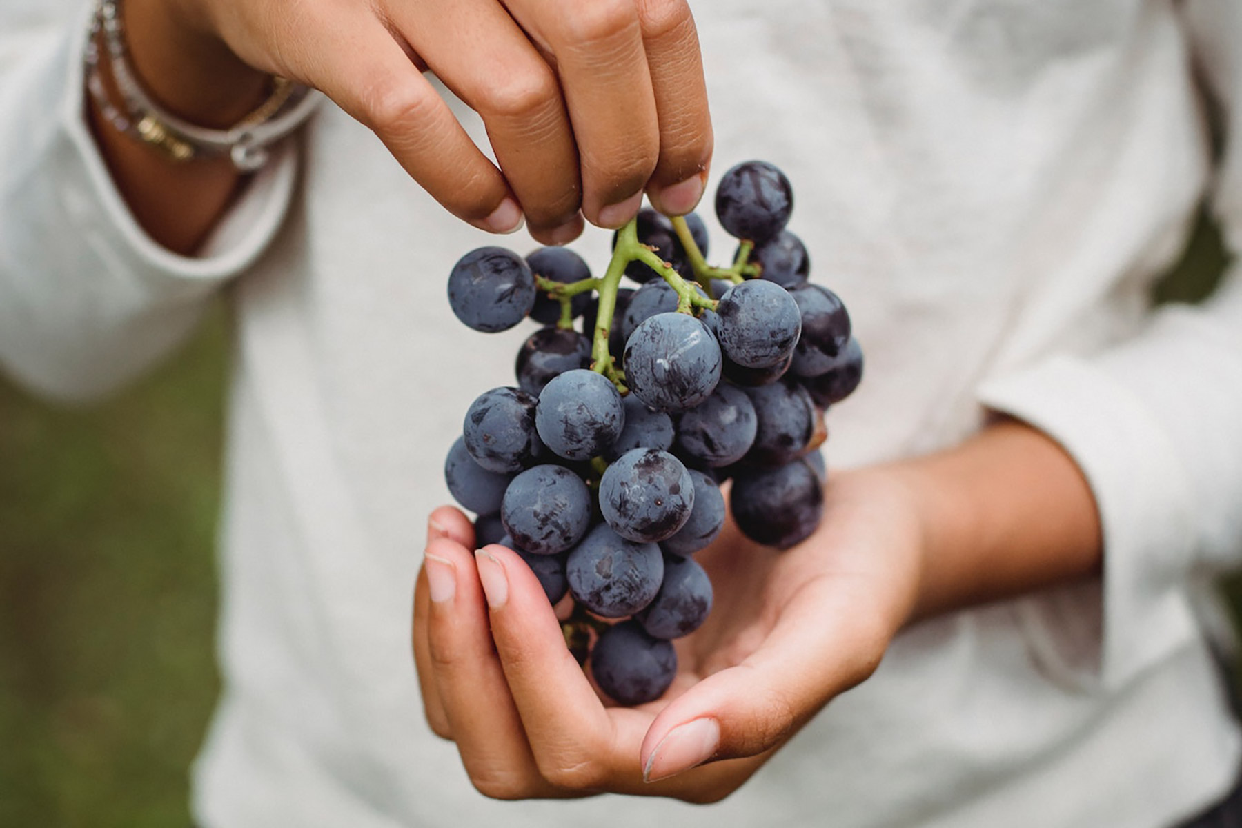 wine-tours-wine-tasting-santorini